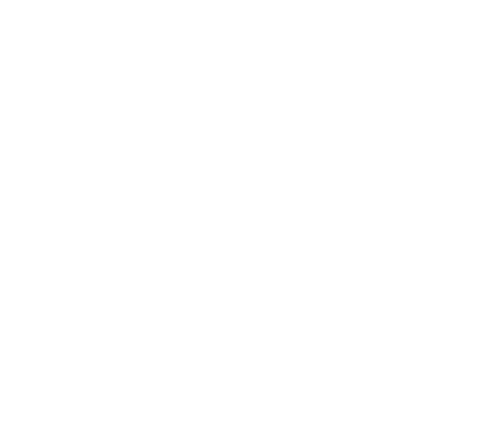 Zudnik